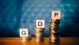 India Ratings Upgrades GDP Growth Forecast To 7.1% For 2024-25...