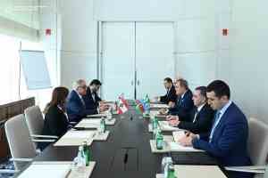 State Committee Upholds Azerbaijani, Turkish Language Hubs In Lebanon - H...