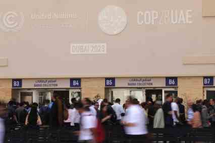 COP29 Not To Be Arena Of Confrontation, Azerbaijani President Says